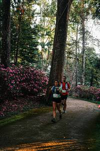 BIB: 
                            <button type="button" onclick="openModal(22790132)" class="btn btn-primary btn-sm float-right btn-popup" data-toggle="modal" data-target=".modal-high-quality">
                        <i class="fas fa-shopping-cart"></i> Add to Cart
                    </button>
                                            <button type="button" onclick="isThisMe(22790132, true)" class="btn btn-success btn-sm float-right btn-popup btn-isme hidden" data-toggle="tooltip" data-placement="bottom" title="นี่คือรูปของคุณใช่ไหม คลิกที่นี่เพื่อเอาเข้าอัลบั้ม">
                        <i class="fas fa-plus"></i> Add to album
                    </button>
                    <button type="button" onclick="isThisMe(22790132, false)" class="btn btn-warning btn-sm float-right btn-popup btn-isnotme hidden">
                        <i class="fas fa-ban"></i> Remove from album
                    </button>